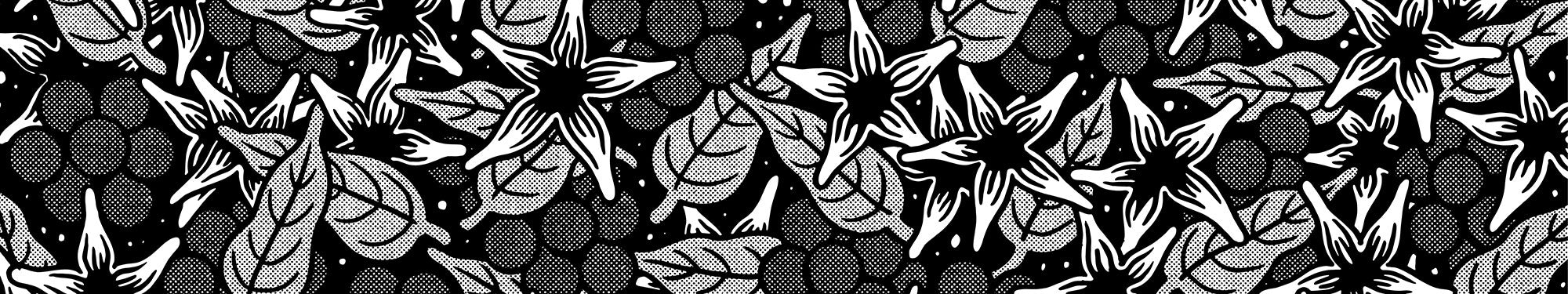 Boldly Organic, Freshly Roasted Coffee